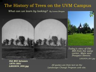 The History of Trees on the UVM Campus