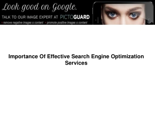 Importance of Effective Search Engine Optimization Services