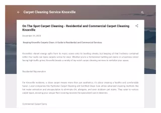 On The Spot Carpet Cleaning - Residential and Commercial Carpet Cleaning