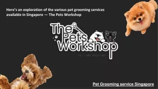 Here’s an exploration of the various pet grooming services available in Singapore — The Pets Workshop