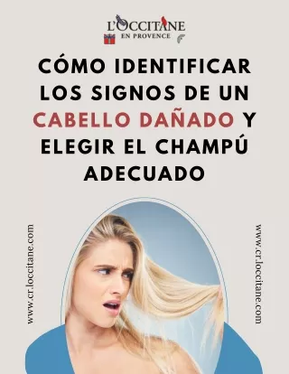 Cómo identificar los signos de un cabello dañado y elegir el champú adecuado