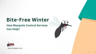 Bite-Free Winter