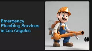 Emergency Plumbing Services in Los Angeles