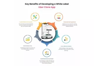 Key Benefits of Developing a White Label Uber Clone App