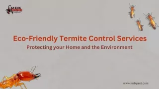 Eco-Friendly Termite Control Services