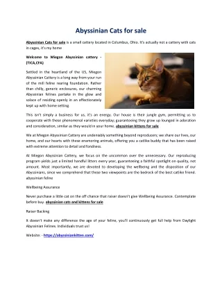 Abyssinian Cats for sale