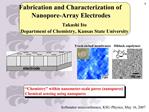 Fabrication and Characterization of Nanopore-Array Electrodes