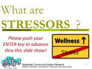 What are STRESSORS ?