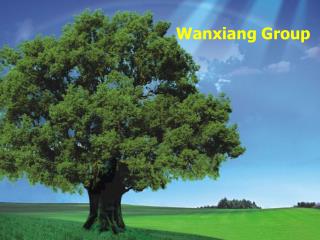 Wanxiang Group
