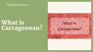 What is Carrageenan