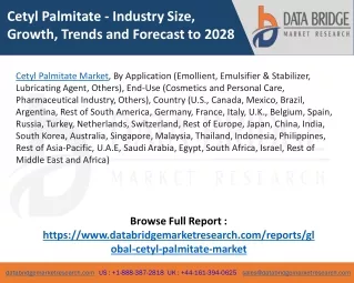 Cetyl Palmitate Market