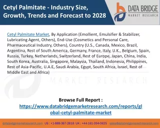 Cetyl Palmitate Market
