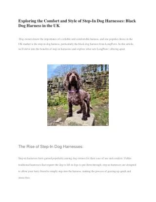 Exploring the Comfort and Style of Step-In Dog Harnesses, Black Dog Harness in the UK