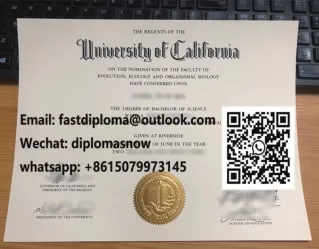 UC Riverside diploma