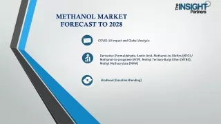 Data-driven Strategies for Methanol Stakeholders