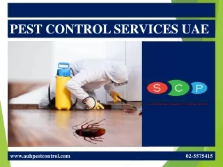 PEST CONTROL  SERVICES UAE