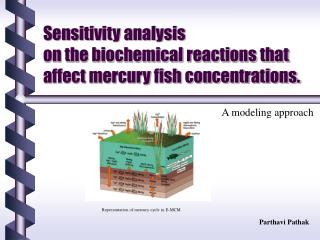 Sensitivity analysis on the biochemical reactions that affect mercury fish concentrations.