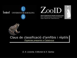 Claus de classificació d’amfibis i rèptils Espècies presents a Catalunya
