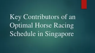 Key Contributors of an Optimal Horse Racing Schedule in Singapore