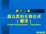 Protein Biosynthesis,Translation