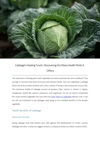 Cabbage's Healing Touch: Discovering the Many Health Perks It Offers