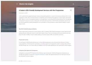 A Guide to SEO-Friendly Development Services with Hire Programmer