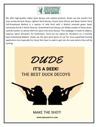 Free Duck Decoys