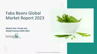 Faba Beans Global Market 2024 - By Growth, Drivers, Size, Share, Report 2033