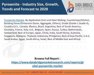 Pyroxenite Market