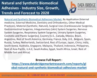 Natural and Synthetic Biomedical Adhesives Market
