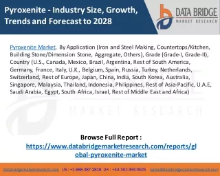 Pyroxenite Market