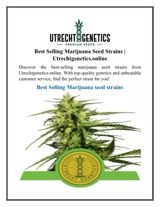 Best Selling Marijuana Seed Strains | Utrechtgenetics.online