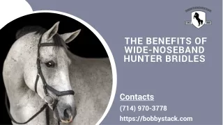 The Benefits of Wide-Noseband Hunter Bridles