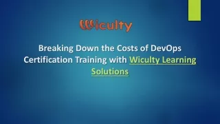 Breaking Down the Costs of DevOps Certification Training with Wiculty