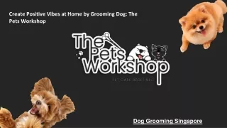 Create Positive Vibes at Home by Grooming Dog The Pets Workshop