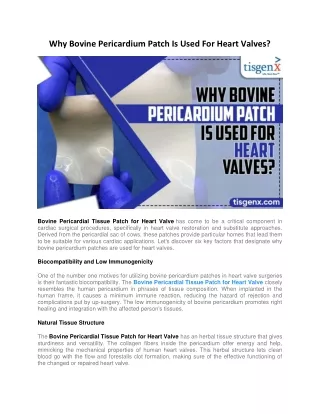 Why Bovine Pericardium Patch Is Used For Heart Valves