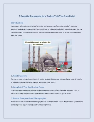 5 Essential Documents for a Turkey Visit Visa from Dubai