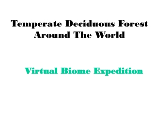 Temperate Deciduous Forest Around The World