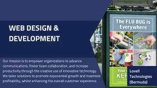 Web Design & Development