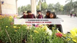 Good Schools in Noida