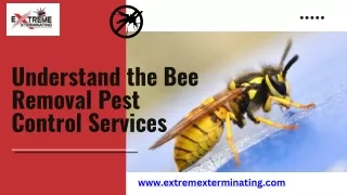 Understand the Bee Removal Pest Control Services