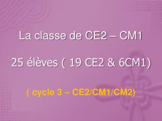 La classe de CE2 – CM1 25 élèves ( 19 CE2 &amp; 6CM1)