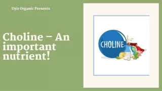 Choline – An important nutrient!