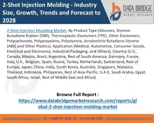 2-shot Injection Molding Market