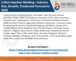 2-shot Injection Molding Market