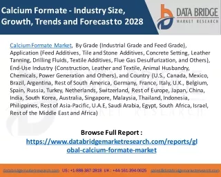 Calcium Formate Market