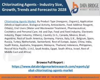Chlorinating Agents Market