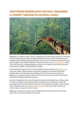 Discovering Meghalaya Natural Treasures