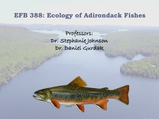 EFB 388: Ecology of Adirondack Fishes