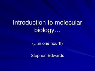 Introduction to molecular biology…